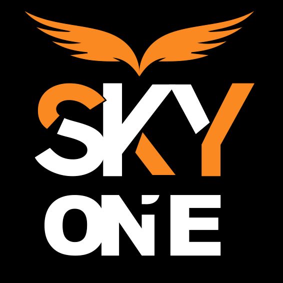 Skyone Sports School