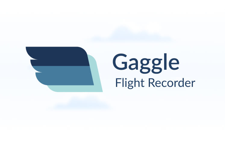 The Gaggle logo